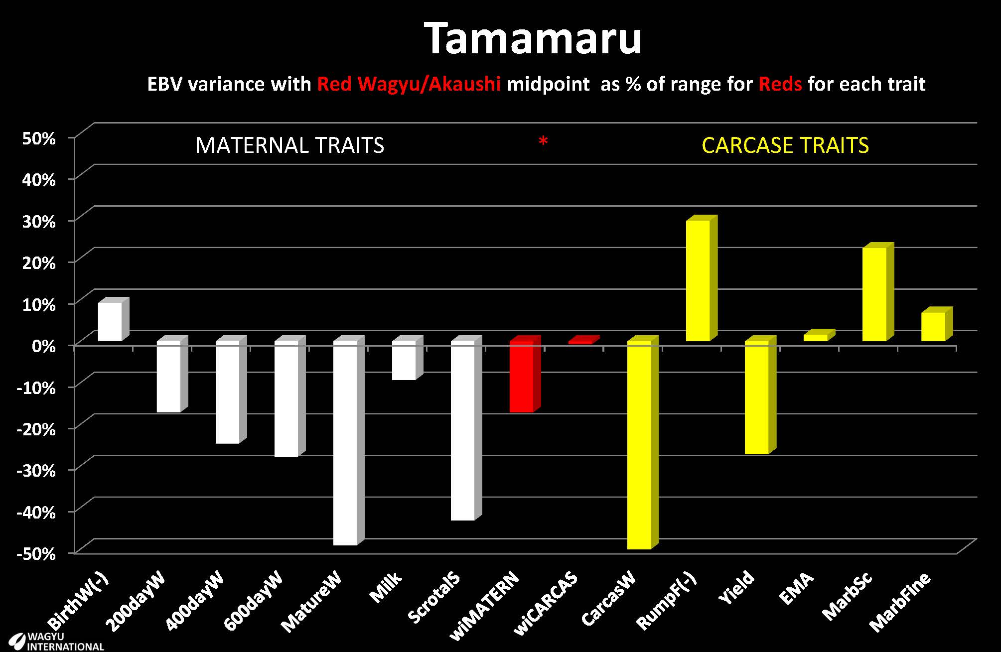 Breedplan EBVs presented by Wagyu International for Red Wagyu/Akaushi foundation sire Tamamaru