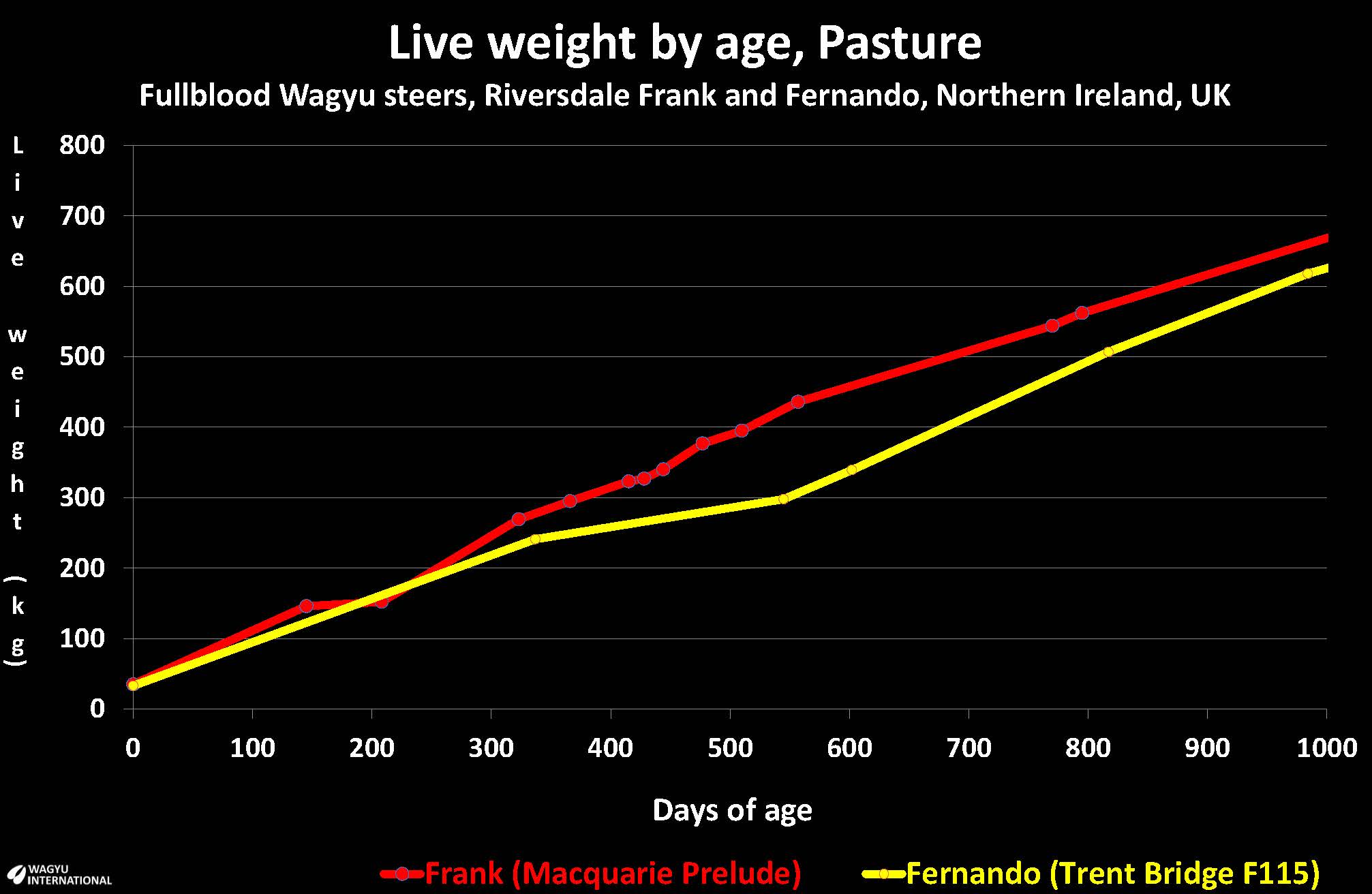 Chart showing live weight by date of Riversdale Fernando and Frank up to 1000 days of age in Northern Ireland off pasture raised conventionally