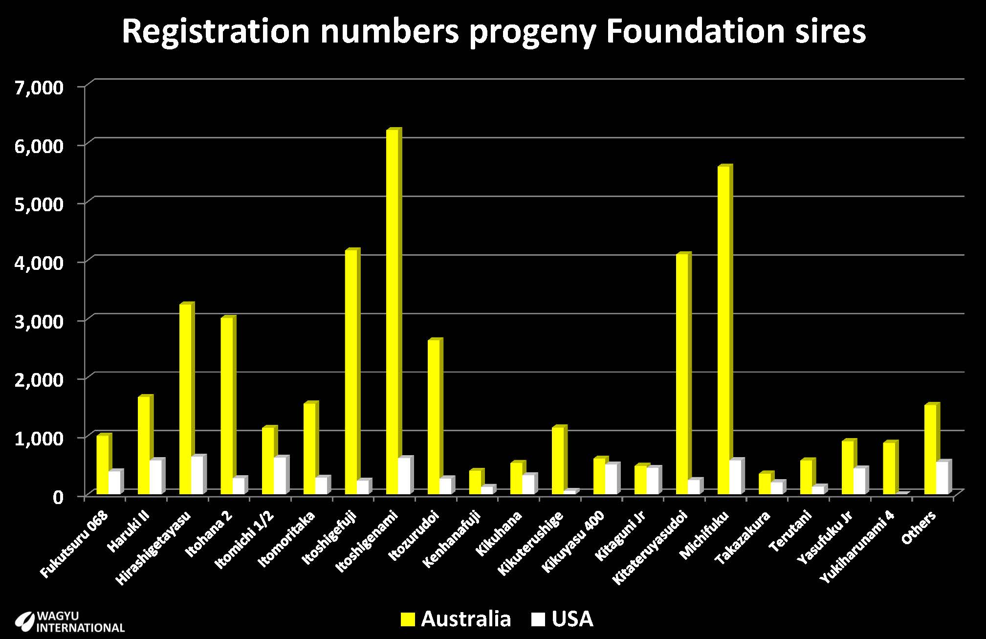 Registration numbers of progeny from Founder animals in Australia and USA as a percentage in each association as at August 2020