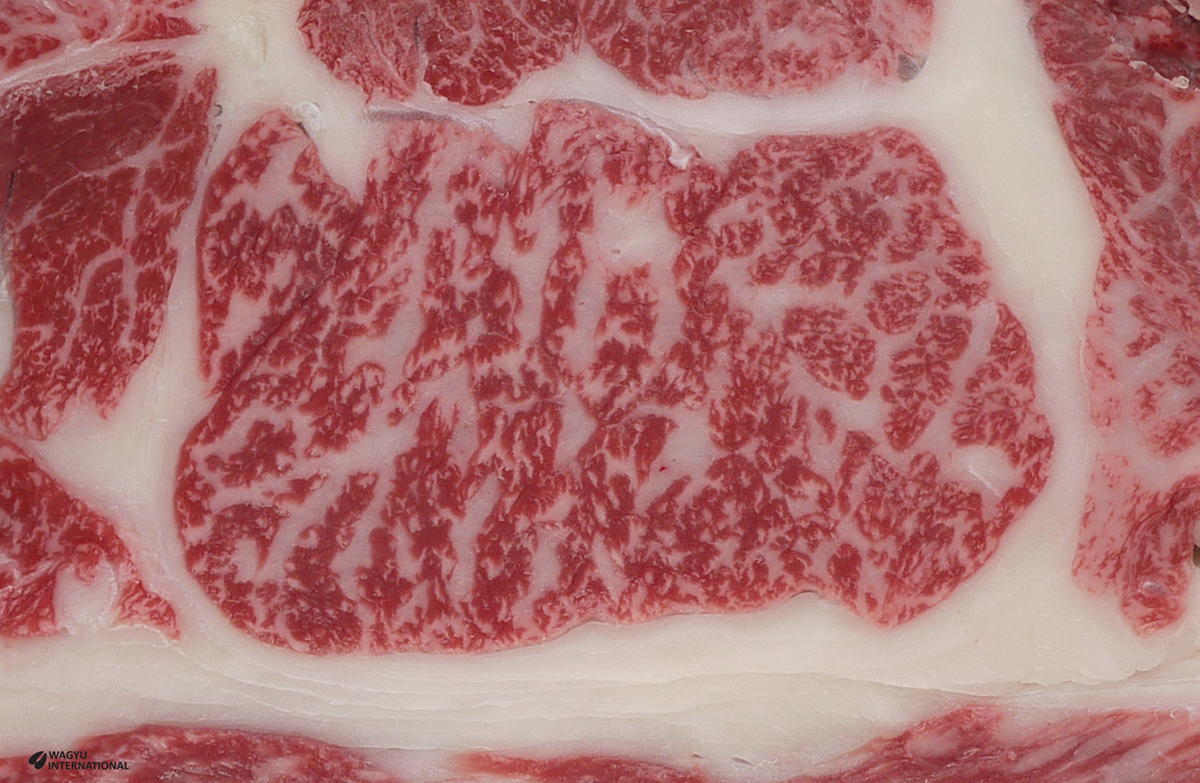 Digital image of highly marbled Wagyu beef