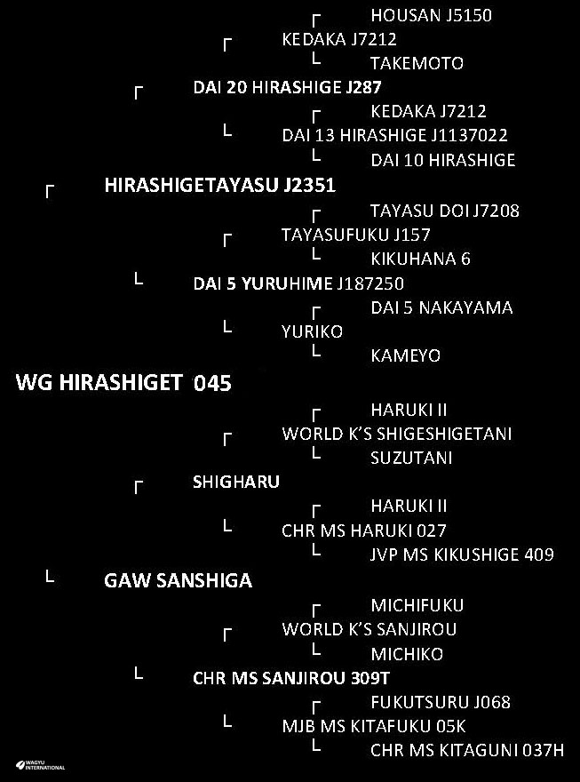 Pedigree for WG Hirashiget 045