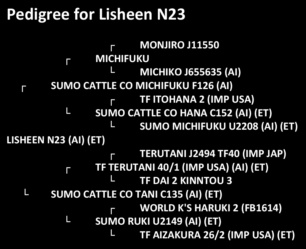 pedigree for Lisheen N23