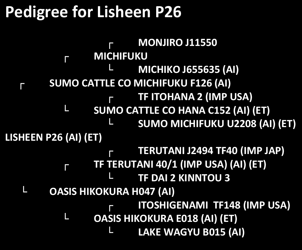 Pedigree for Lisheen P26