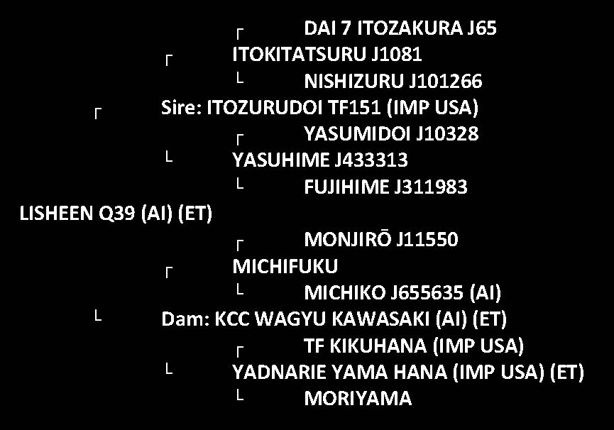 pedigree for Lisheen N23