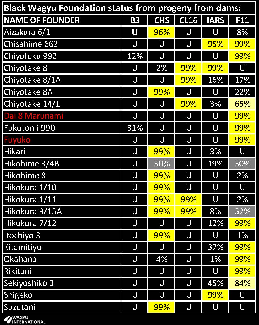 Table of recessive probabilities for Foundation Black Wagyu females