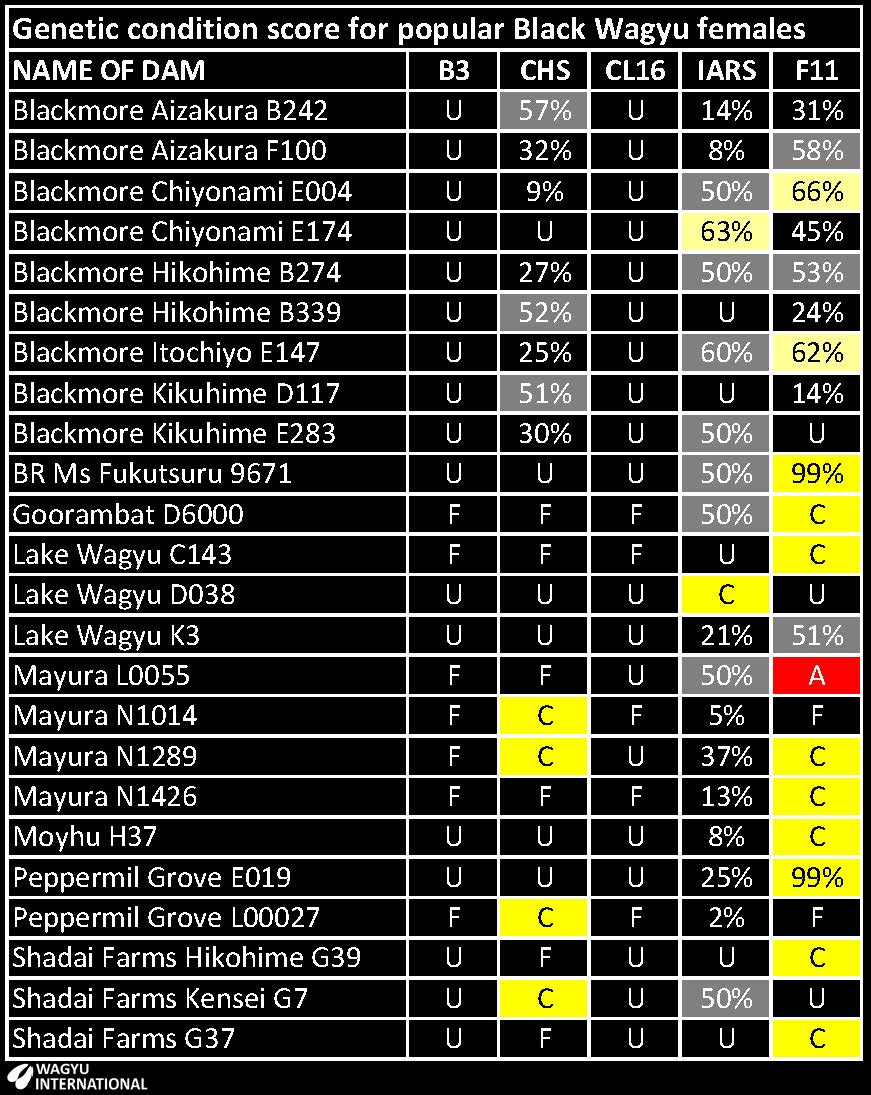 Recessive condition probabilities for popular Balck Wagyu donors