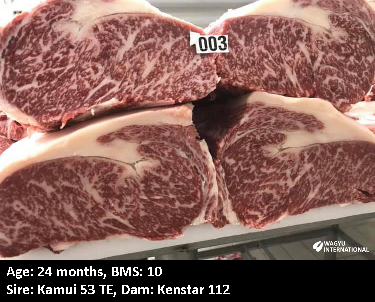 Wagyu striploin BMS 10 at 24 months of age