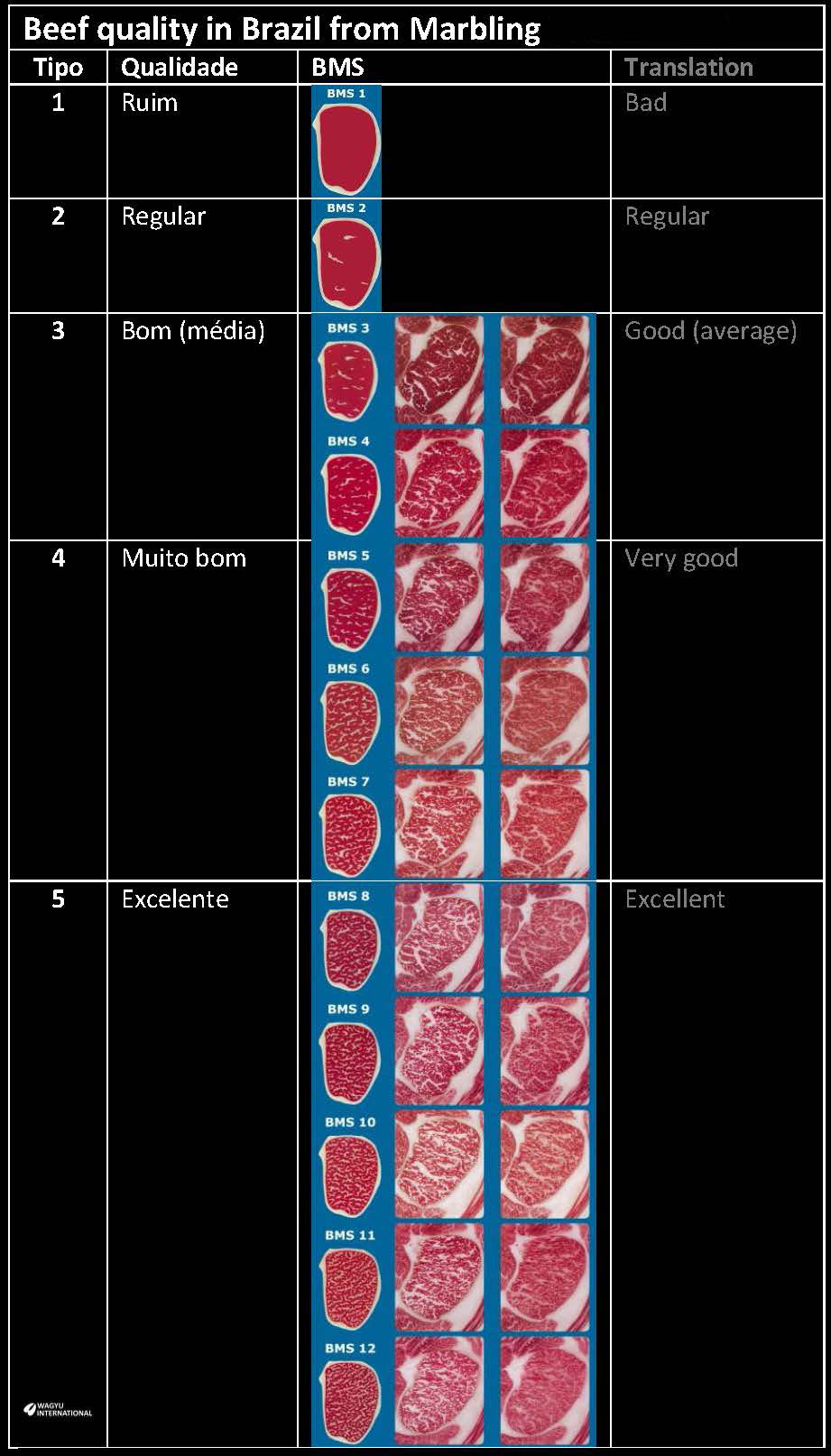 Marbling score BMS for Brazil Wagyu for marbling Wagyu International