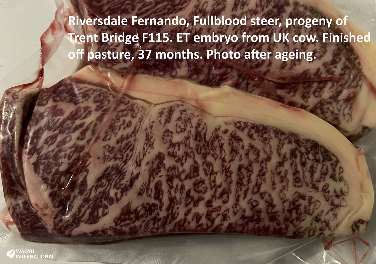 Sirloin from Wagyu Riversdale Fernandes son of Trent Bridge F115 with IMF50% marbling from pasture