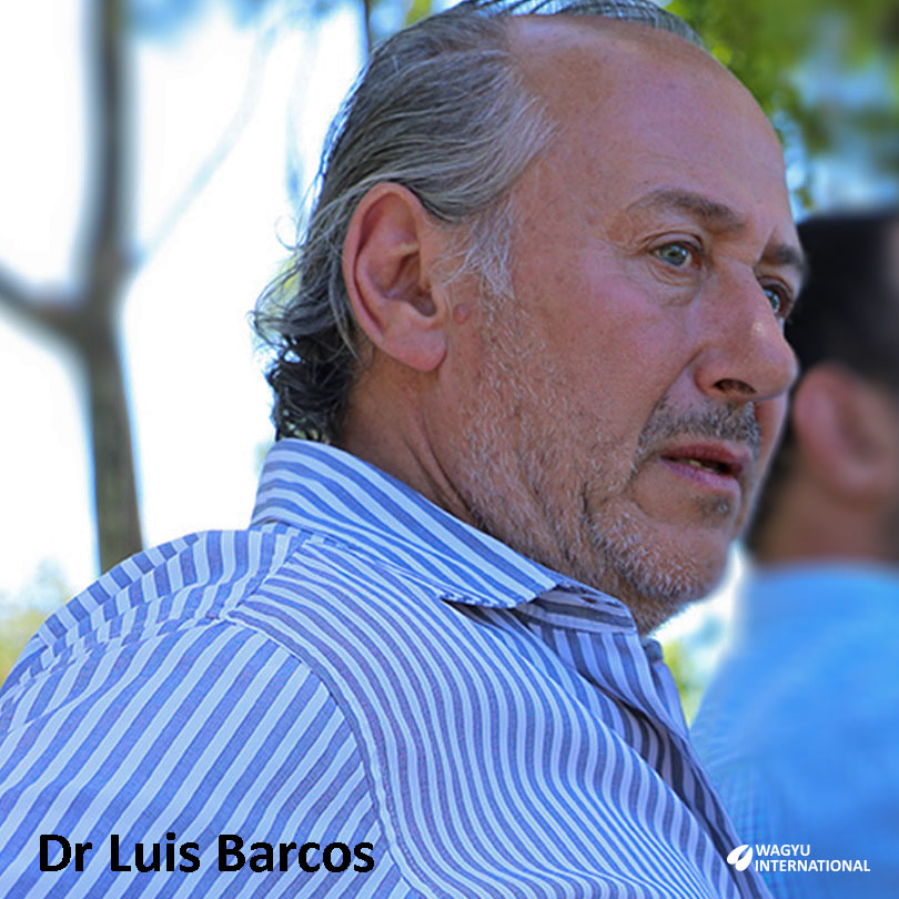 Dr Luis Barcos first importer of Wagyu to Argentina
