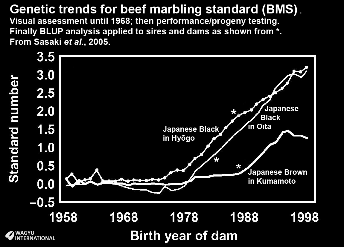 Chart showing genetic progress with marbling in japan by year