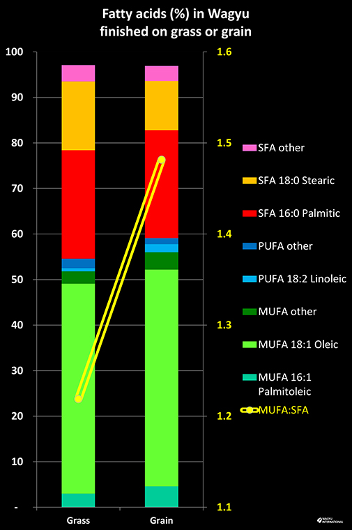 Fatty acid profiles from grass and grain finishing in Australia