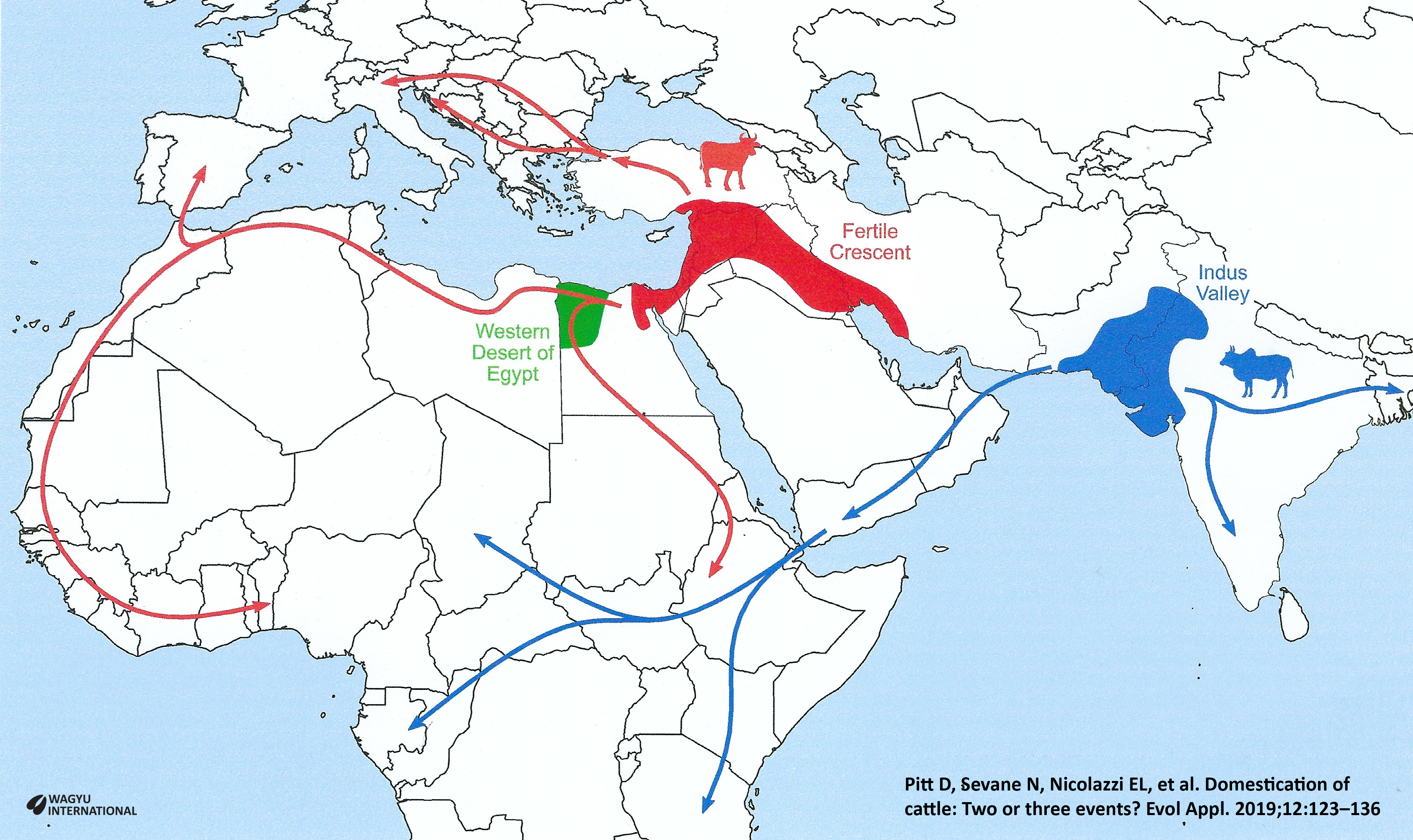 Map showing first htree aurochs after Bos primigenius